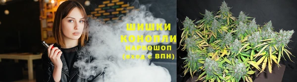 мяу мяу мука Аркадак