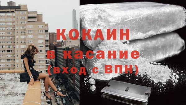 мяу мяу мука Аркадак
