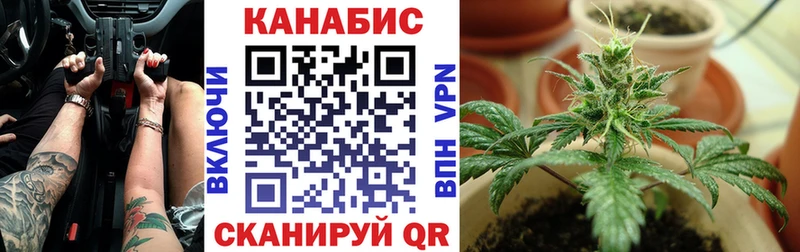 Бошки марихуана VHQ  mega как войти  Могоча  купить  сайты 